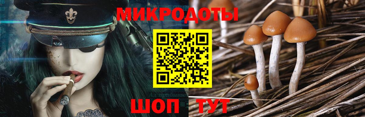 Галлюциногенные грибы ЛСД Лабинск